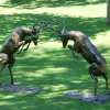 Statues & Sculptures Stags & Deers^Battling Stags Life-Size 140cm Bronze Metal Garden Statues