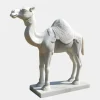 Statues & Sculptures Wildlife|Modern^Desert Camel 160cm White Marble Garden Statue v1