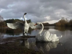 Statues & Sculptures Swans^Grand Pair of Swans Antique White Metal Garden Statues