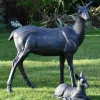 Statues & Sculptures Stags & Deers^Wild Doe & Fawn 103cm Bronze Metal Garden Statues