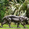 Statues & Sculptures Wildlife|Lions^Wild Tiger 51cm Bronze Metal Garden Statue
